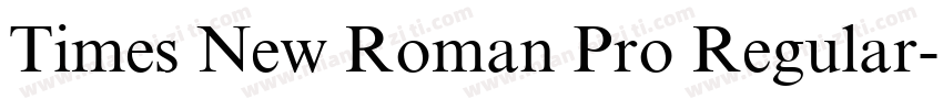 Times New Roman Pro Regular字体转换